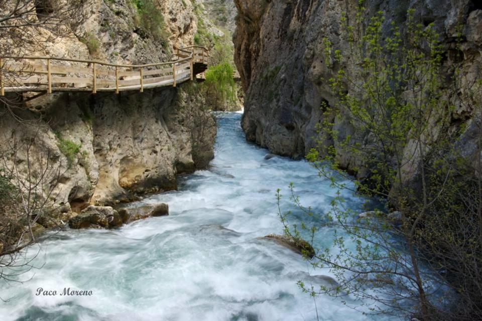Alojamiento Rural, Cueva De La Abuela Cuevas del Campo 外观 照片