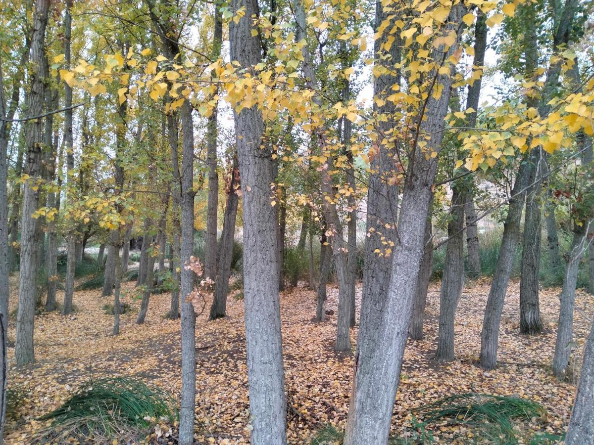 Alojamiento Rural, Cueva De La Abuela Cuevas del Campo 外观 照片