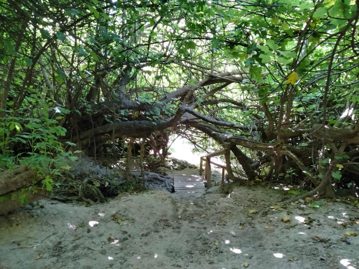 Alojamiento Rural, Cueva De La Abuela Cuevas del Campo 外观 照片