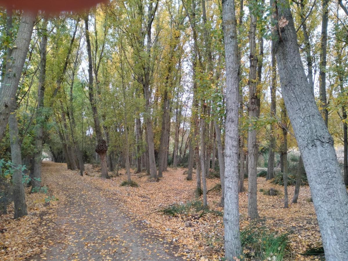 Alojamiento Rural, Cueva De La Abuela Cuevas del Campo 外观 照片
